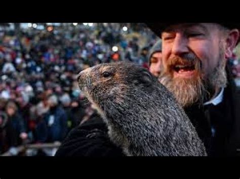 how often has punxsutawney phil been right.